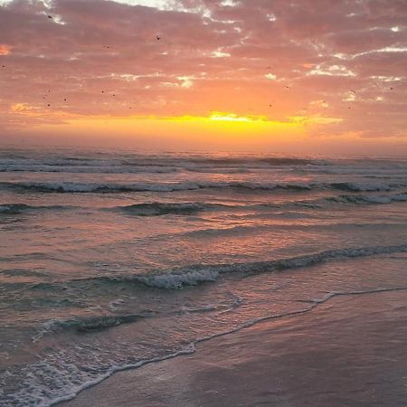 Siesta Key Condo - On The Water ! 外观 照片