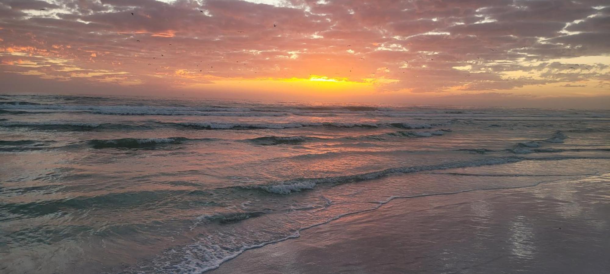 Siesta Key Condo - On The Water ! 外观 照片