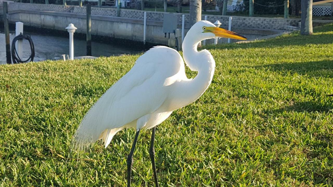 Siesta Key Condo - On The Water ! 外观 照片
